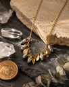 Shells Necklace